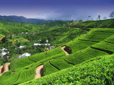 Sri Lanka Image